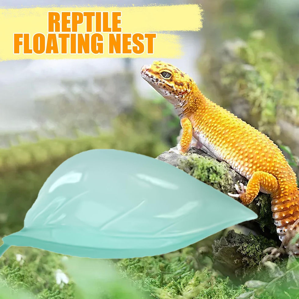 Thumbnail: Frog Habitat Leaf