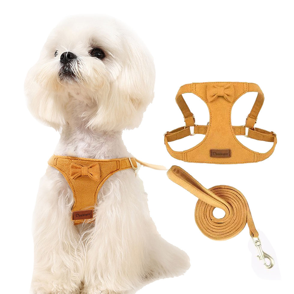 Thumbnail: Suede Dog Harness & Lead
