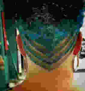 Three diagonal lines on both sides of the nape, connecting into a v.