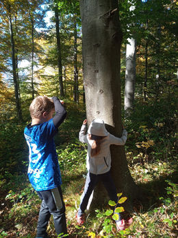 Herbsttraining