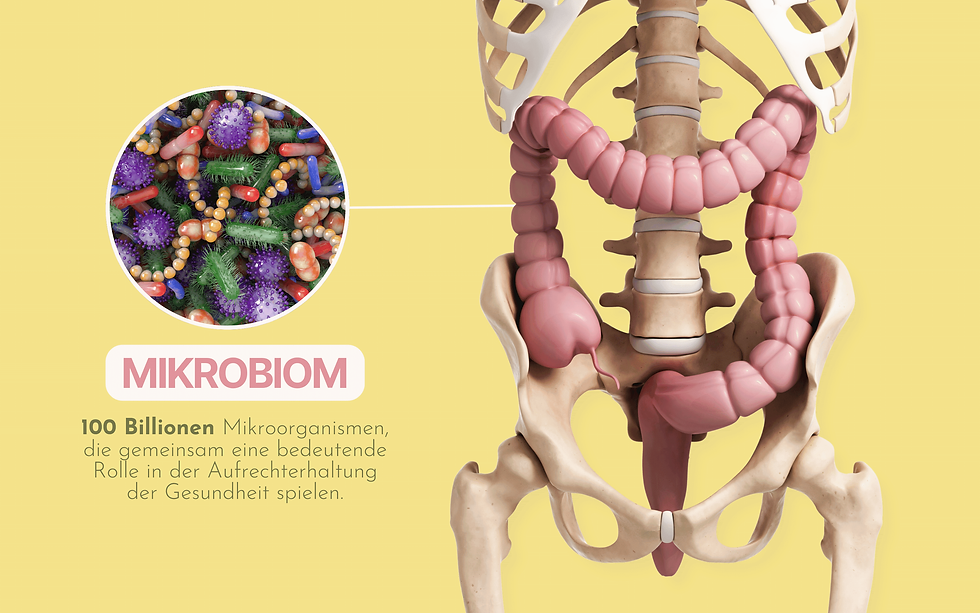 Das Bild zeigt eine Infografik zum Thema "Mikrobiom" auf einem gelben Hintergrund. Rechts ist ein menschliches Skelett abgebildet, das den Verdauungstrakt, insbesondere den Dickdarm, in Rosa hervorhebt. Links davon ist ein vergrößerter Kreis, der Mikroorganismen wie Bakterien und Pilze in verschiedenen Formen und Farben darstellt. Unter der Überschrift "Mikrobiom" steht der Text: „100 Billionen Mikroorganismen, die gemeinsam eine bedeutende Rolle in der Aufrechterhaltung der Gesundheit spielen.