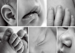 Newborn Photography Essex, Wickford