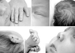 Newborn Photography Essex, Wickford