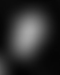 Augoustia (Zervos) Bibikos