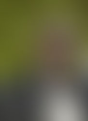 Carmelo Ramos Marrero