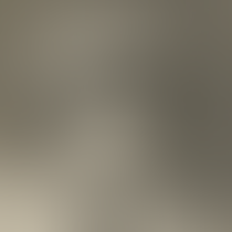 Vincent Ignatius McGuire