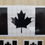 Thumbnail: CLEARANCE | Black Canadian Flag Decals
