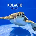 kolache.webp