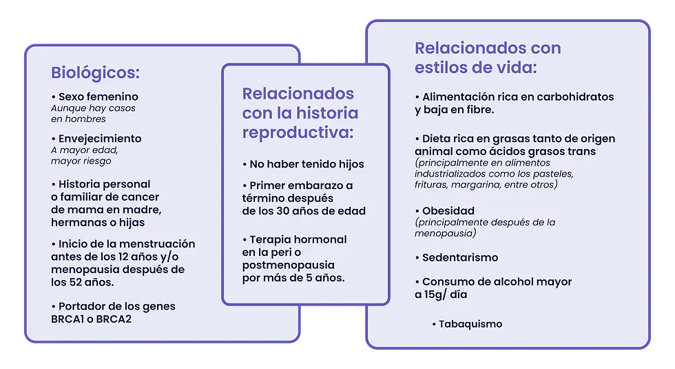 factores de riesgo
