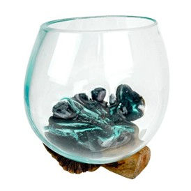 Thumbnail: Small Curated Glass Bowl On Driftwood Planter 5.75X 5.75X4.75 INCHES