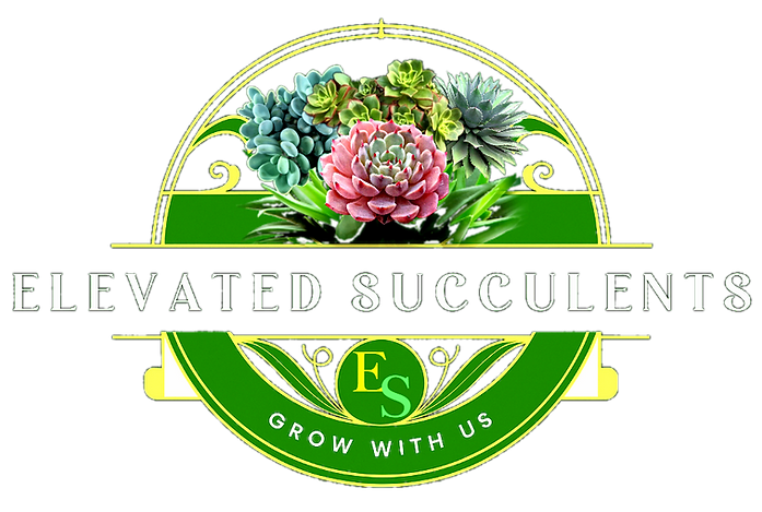 ELEVATED LOGO2