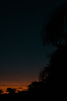 IMG_4210.jpg