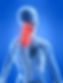 neck5.jpg