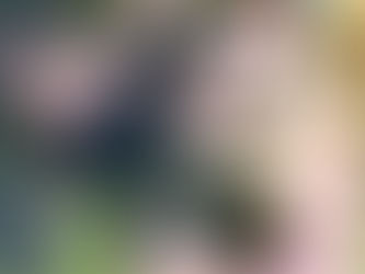 会津の女性のボイスドラマ