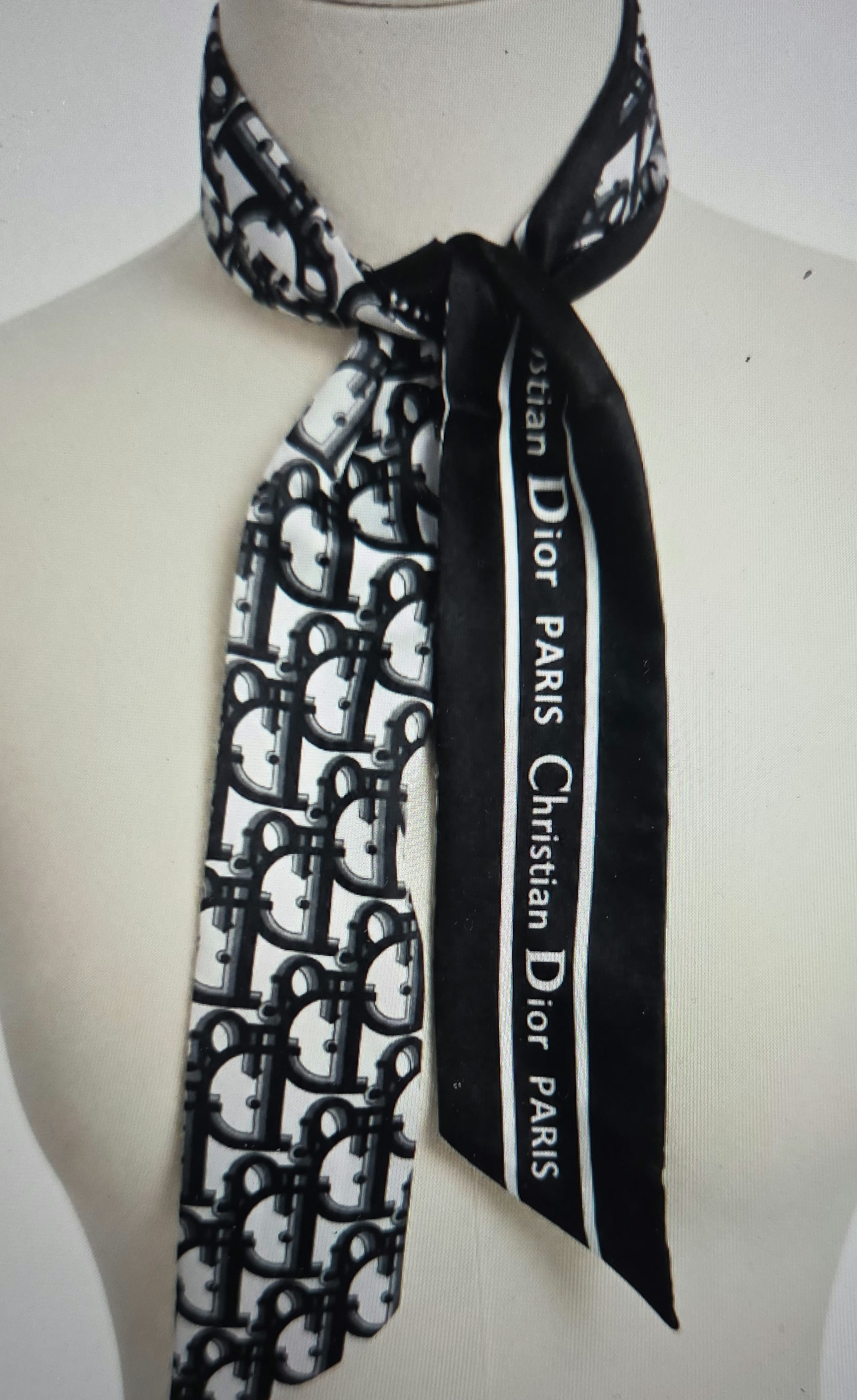 LAVISH LOOKS SCARF 41