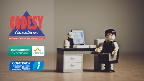 Codesy Consultores SIANEC
