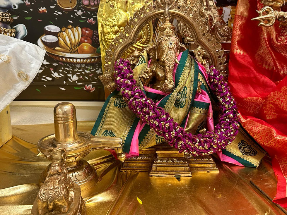 PHOTO-2024-02-19-20-22-26 4