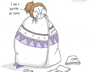 Burrito of Stress!
