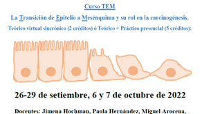 CURSO PEDECIBA: La Transición de Epitelio a Mesénquima y su rol en la carcinogénesis. 