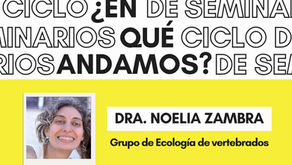 Ciclo de Seminarios: ​"En qué andamos"