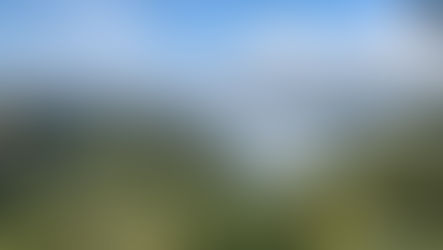 Discovering El Salvador: From Colonial Charm to Coastal Calm