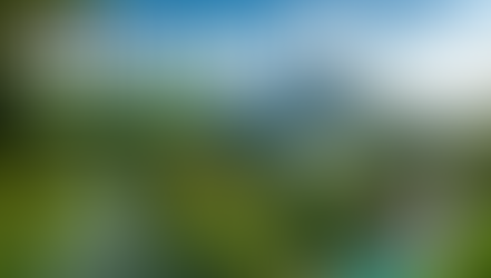 Costa Rica Travel Guide: Monteverde, La Fortuna and San José Itinerary for First-Time Visitors