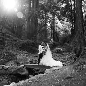 Weddings 