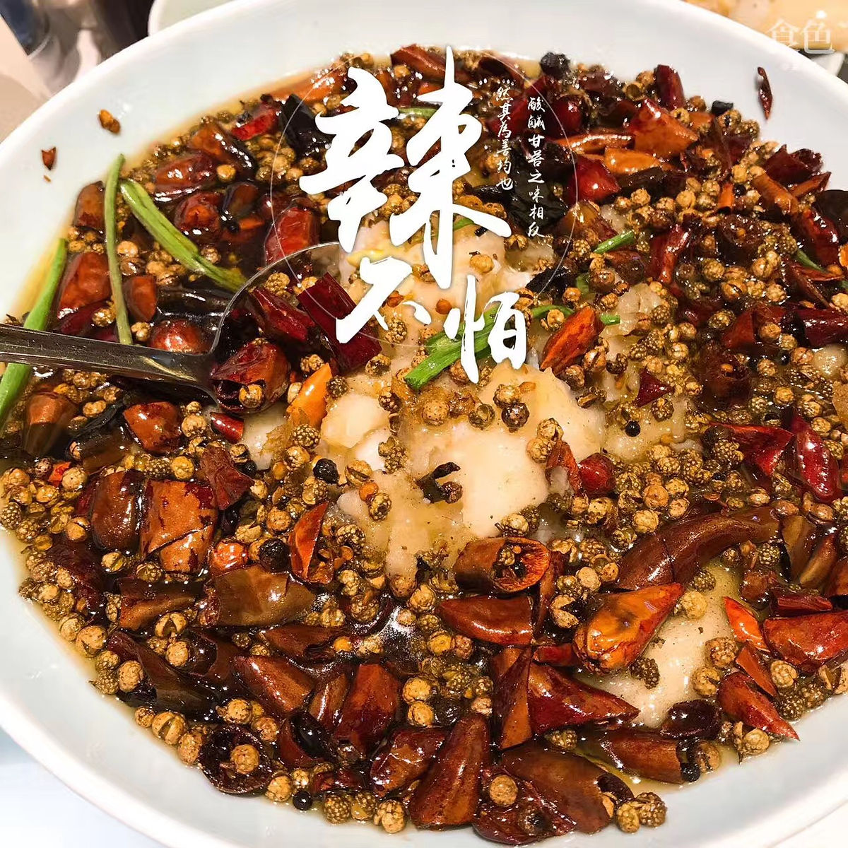 Hot & Spicy Chili Gravy/ 水煮系列