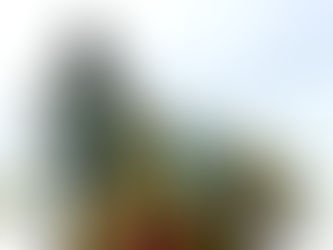 New Guam statue honors military service, Vietnam refugees