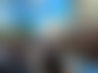 Palau phone frustration