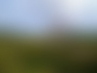 Morrison Pushes for Timely Action on
Southern Development Master Plan