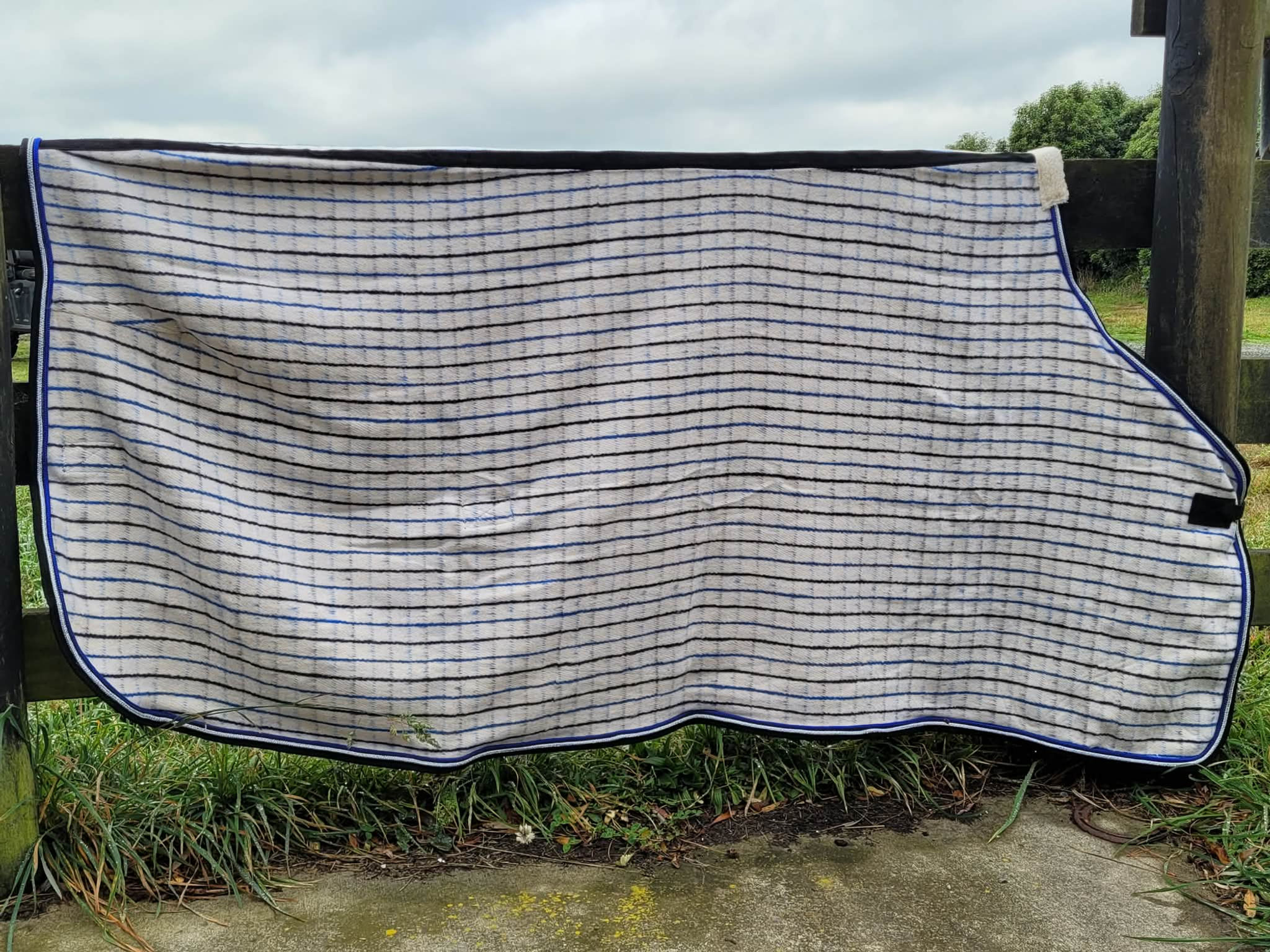 Royal Check Wool
