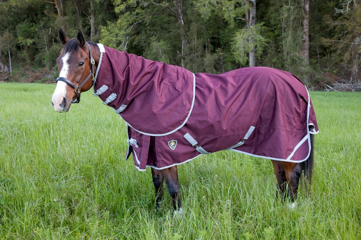 Burgundy No Fill Detach (2 bellys)