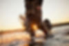 AdobeStock_251664288_Preview.jpeg