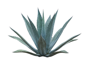AdobeStock_2099676715.png