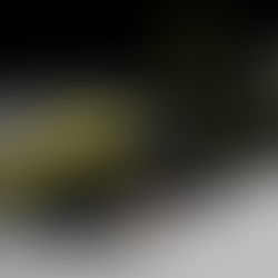 [NEWSLETTER] Édition Mars 2023