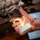 Thumbnail: New LED Camping Light Type-c Rechargeable Portable Night Light With High