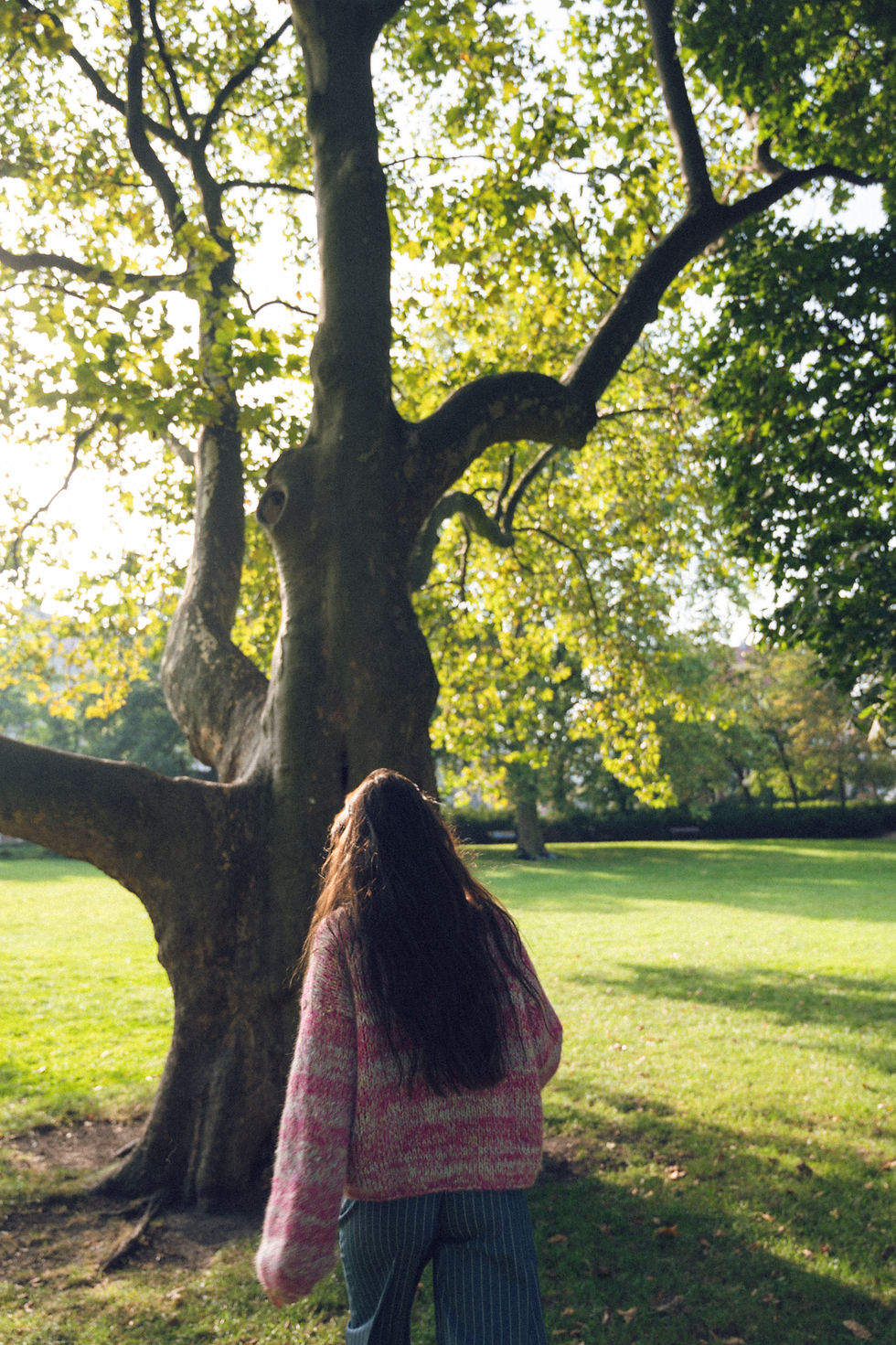 Miniatura: Sweter Grove
