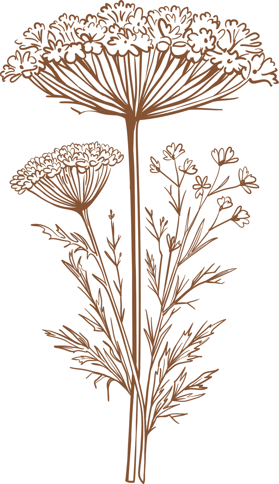flower2.png