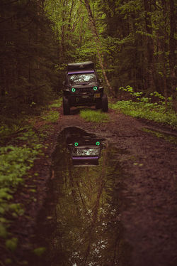 withintheframeLLC-cmazz (49)