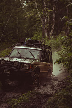 withintheframeLLC-cmazz (48)