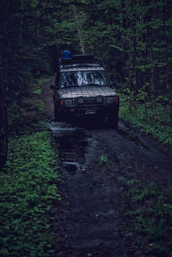 withintheframeLLC-cmazz (47)