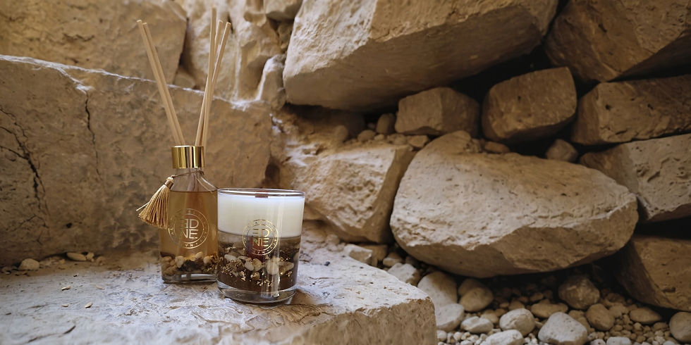 garden-of-eden-candle-diffuser-home-fragrance-desert_edited_edited.jpg