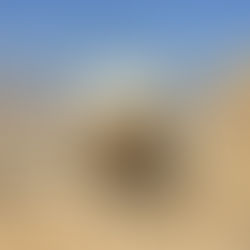 כמה טיפים שיעזרו לשמור על הארומה טהורה ועשירה לאורך כל שריפת הנר, וגם יבטיחו שימוש נכון בנר