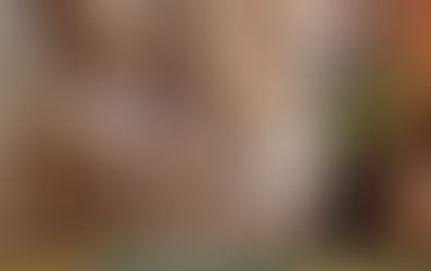 Building Security Into the Supply Chain