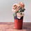 Thumbnail: Porcelain Vase - Speckled Rust with Pewter Rim