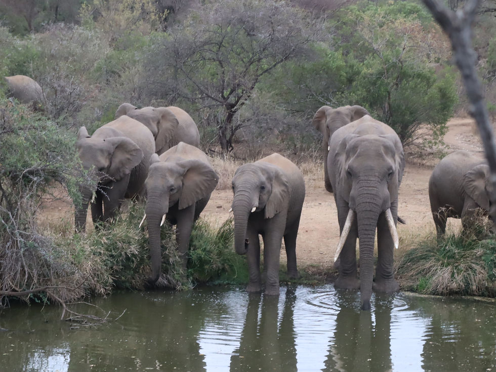 Tanzania Safari Planning Guide