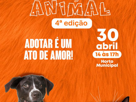 FEIRA DE ADOÇÃO ANIMAL ACONTECE NO HORTO MUNICIPAL
