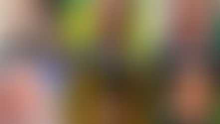 OS RUMOS DA POLITICA PARA 2022