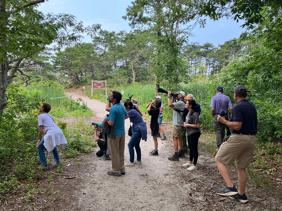 Monomoy Wildlife Refuge